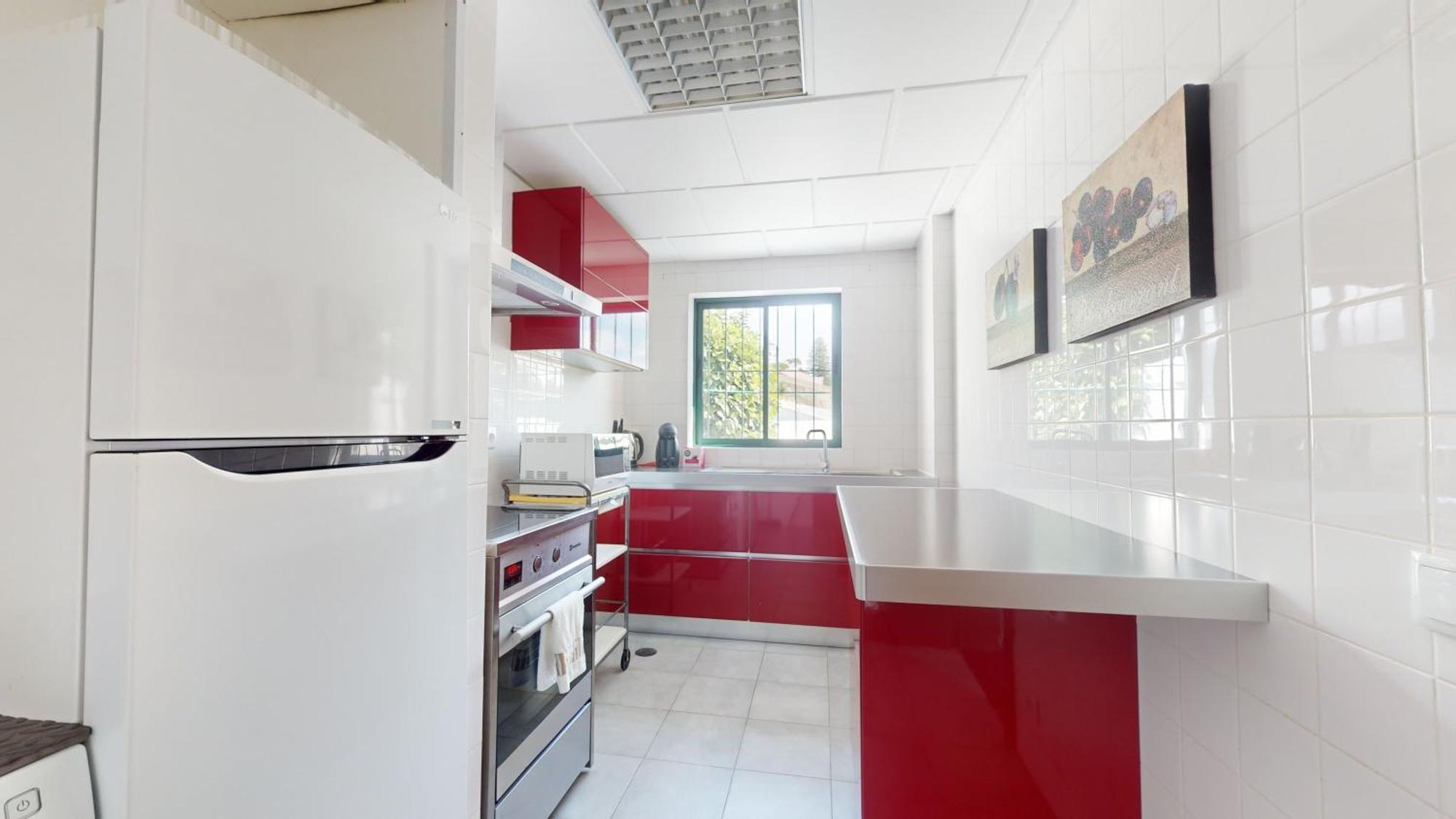 Azores Pedra Apartments - T0 E T1 Ponta Delgada Extérieur photo