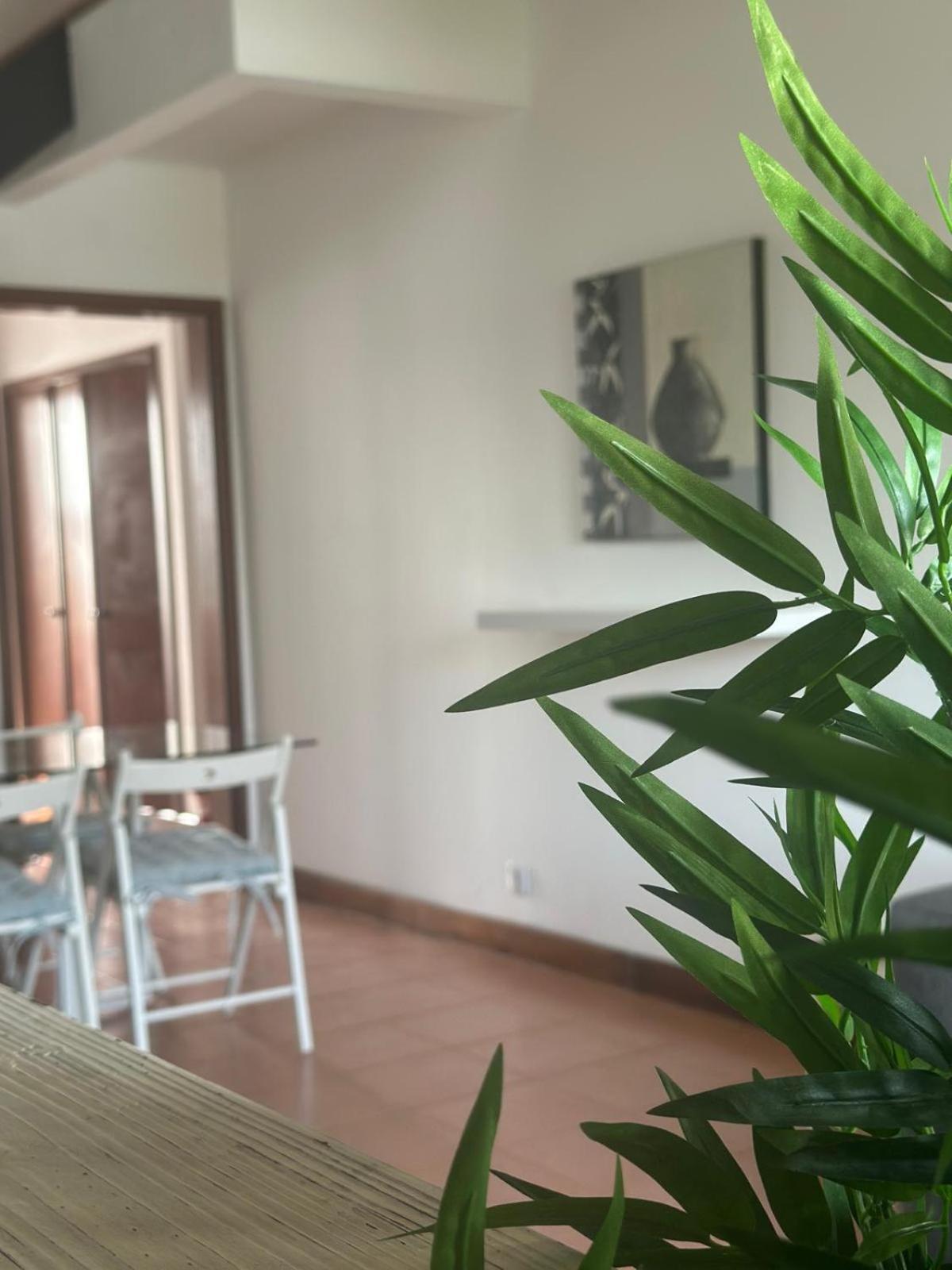 Azores Pedra Apartments - T0 E T1 Ponta Delgada Extérieur photo